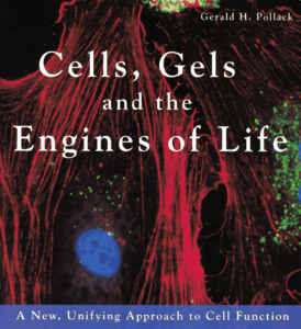 BOOK REVIEW | Cells, Gels, and the Engines of Life by Gerald H. Pollack Thumbnail